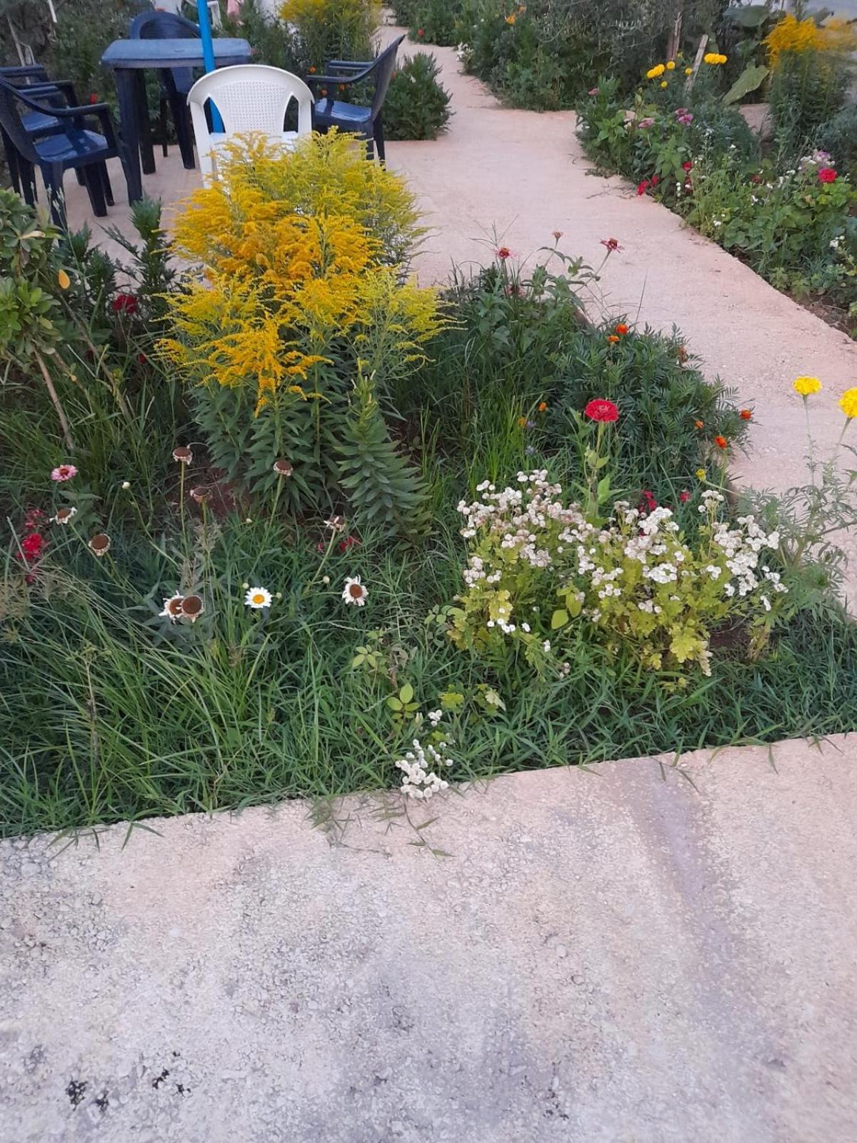 Rey Garden 2 Vlorë Exterior foto